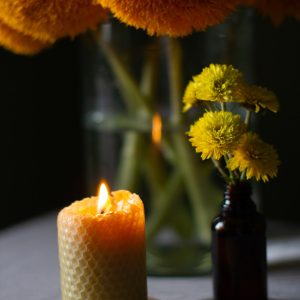 COURSE ON MANUFACTURING OF CANDLES FROM WASTE